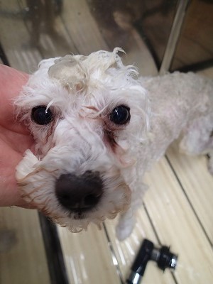 『パックなんて初めてかも？』