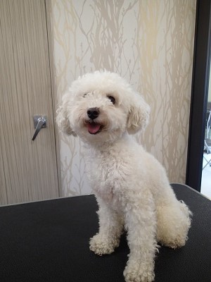 『緊張するなー』