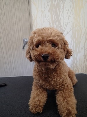 『ちょっと間あいちゃったけど、いつも通りにね！』