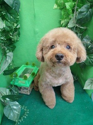 『暑かったからスッキリしたわ♪』 