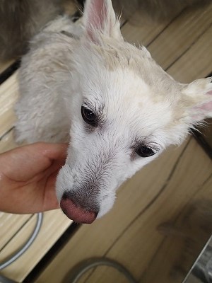 『これあるとさわり心地違うんだって！』