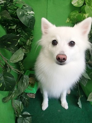 『今日もパパ喜んでくれるかな？』