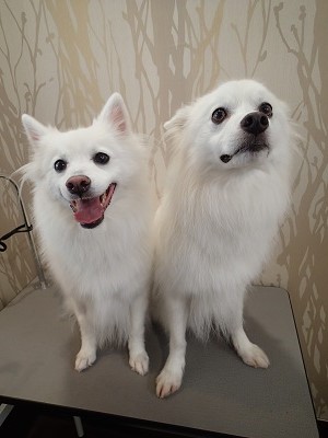 『この前いっぱい遊んできたからよろしくね！』