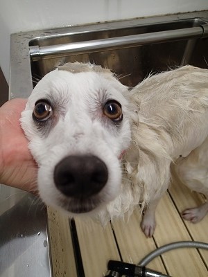 『これは長くやってた方がいいんだよね？』