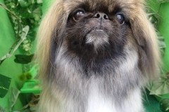 『今日もふわっとさらさら♪』