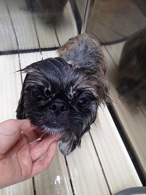 『しっとり感が最高♪』