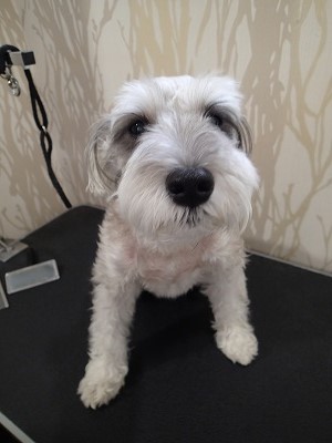 『ちょっともつれあるけど、よろしくね!』