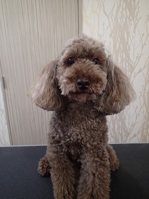 『今日はよろしくお願いします！』