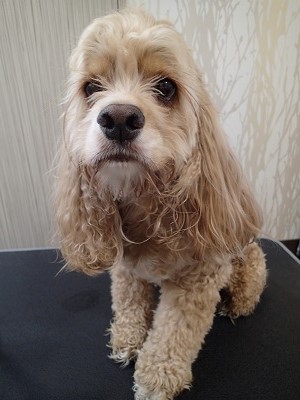 『暑くてダルくなっちゃうよね！』