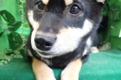 『いっぱい抜けたでしょ！』