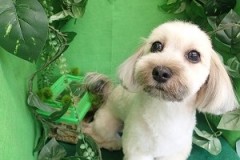 『いつもの感じ♪』