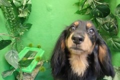 『スッキリしましたー♪』