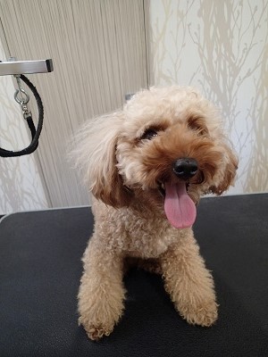 『暑いね！今日もスッキリお願いします！』