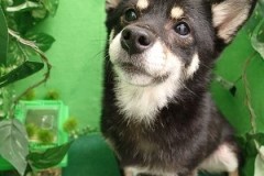 『全力で頑張りました！』