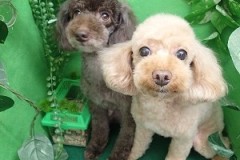 『スッキリしましたー！！』