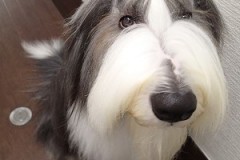 『真っ白になりました！！』