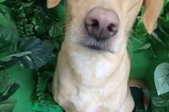 『スッキリしました☆』