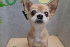 『いつ来ても大丈夫！』