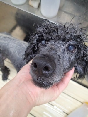 『やっぱりしっとりするな！』