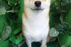 『真っ白になりました！』