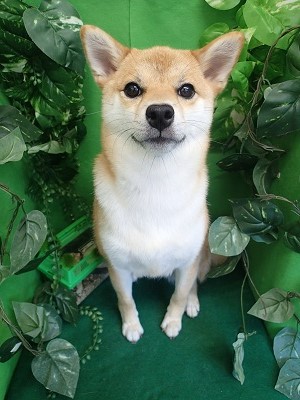 『真っ白になりました！』