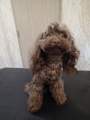 『今日が最終日でしょ？』