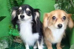 『今日もサッパリしたわ♪』