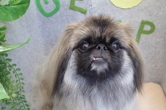 『サラサラになりました！』