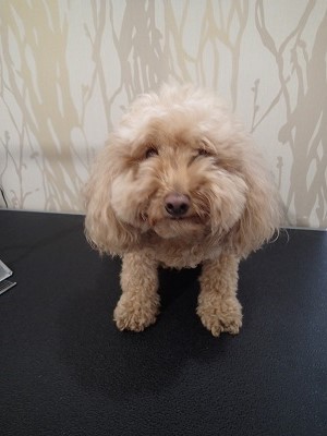 『結構伸びちゃったよ～』