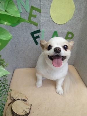 『スッキリしてもらったー！』