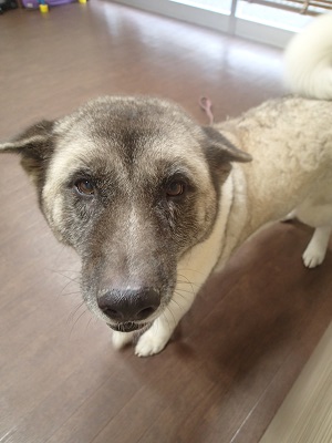 『ちょっと汚しちゃったかも～』