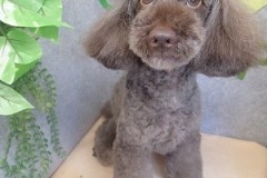 『今回もふわっふわだね♪』