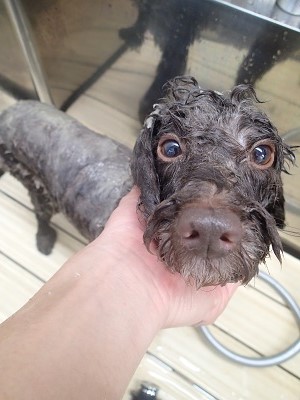 『これは大事なんだー！』