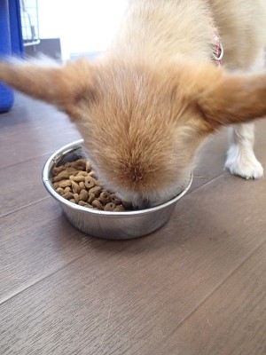 『おいしい～♪』