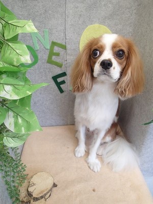 『スッキリして気持ちいい～♪』