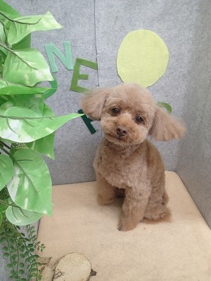 『今日からちょっと長め♪』