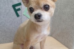 『キレイに整えてもらえました！』