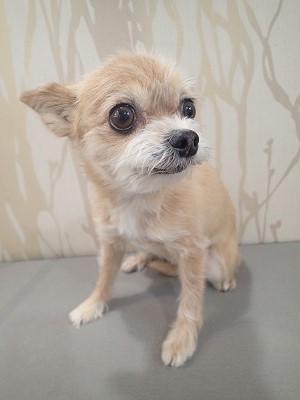 『いつも通りにお願いします！』