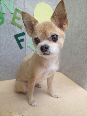 『キレイに整えてもらえました！』