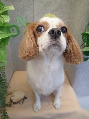 『お迎えまで、綺麗でいないとね！』