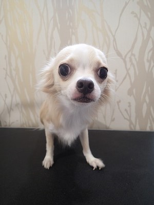 『久しぶりですね！』