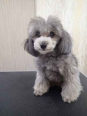 『伸びたでしょー!』