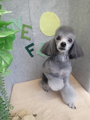 『軽くなった~♪』