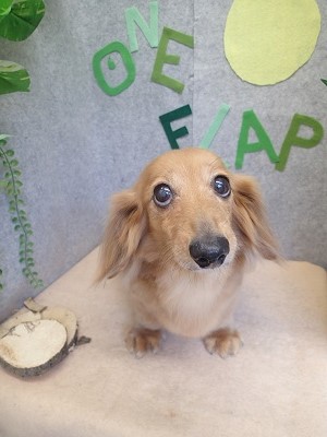 『サッパリしました!』