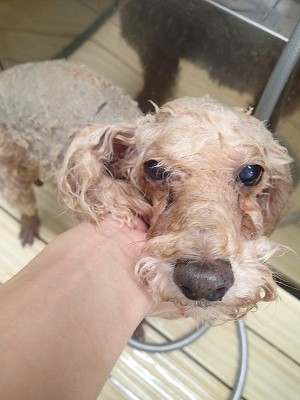 『しっとりリフレッシュ☆』