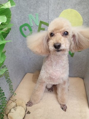 『サッパリしました♪』