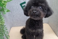 『今日も可愛くしてもらったよ♪』