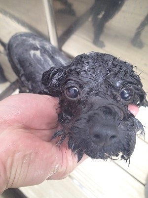 『パックも最高～♪』