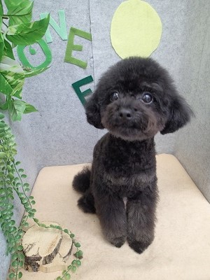 『今日も可愛くしてもらったよ♪』