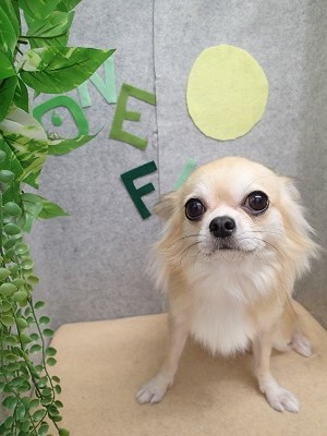 『今日もスッキリ☆』